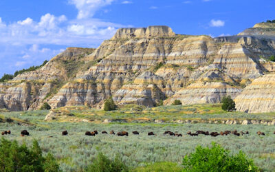 Badlands #7 panoramic (This image is in panoramic format)