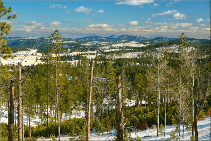 Black Hills in Winter
