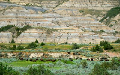 Badlands Grandeur