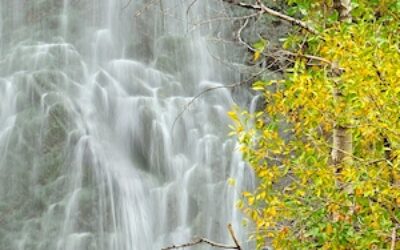 Bridal Veil Falls VP