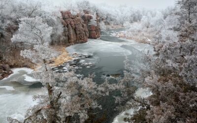 Winter Solace