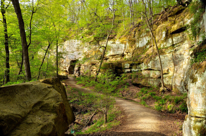 Wildcat Den State Park