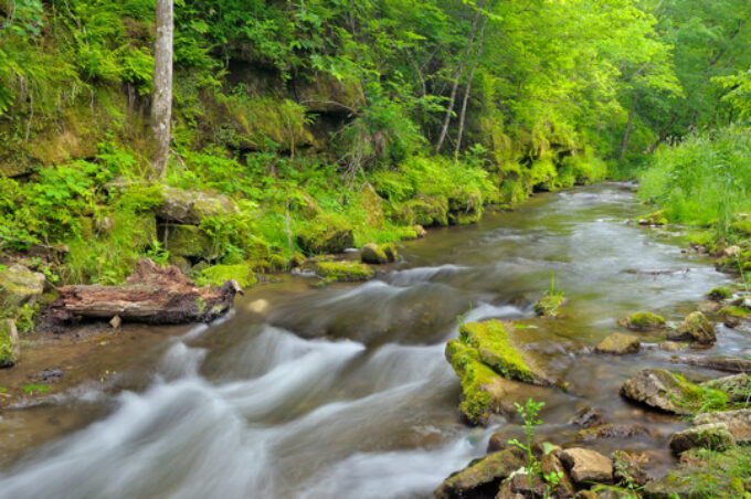 Creeks of Northeast Iowa