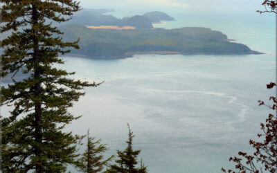 Alaskan Tranquility