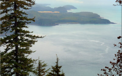 Alaskan Tranquility