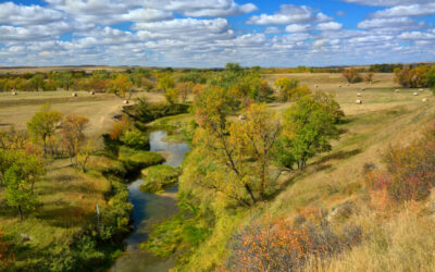 Autumn Creek