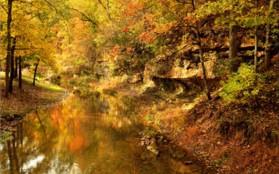 Autumn in Dogwood Canyon