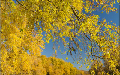 Autumn on the Big Sioux