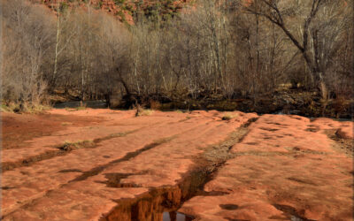 Cathedral Rock Reflections