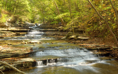 Cascades