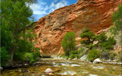 Shell Creek