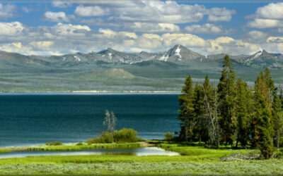 Yellowstone Lake