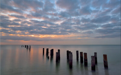 Serenity