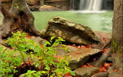 Falls Splendor