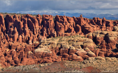 Fiery Furnace