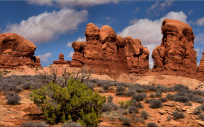 Garden of Eden panoramic