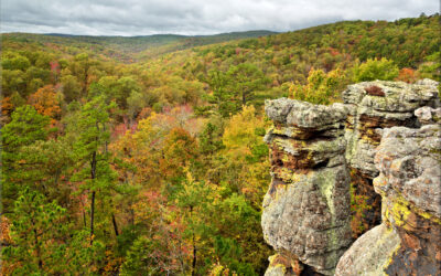 Kings Bluff