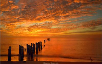 Ocean Ablaze