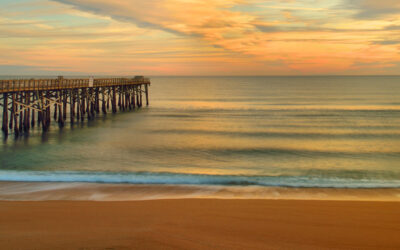 Tranquil Tides