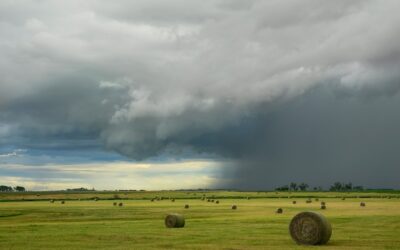Portents on the Plains