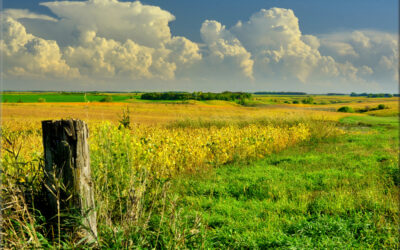Prairie Front