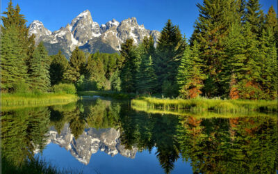 Teton Reflections