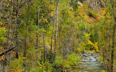 Spearfish Creek