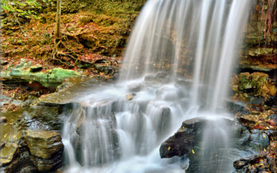Tanyard Creek Falls