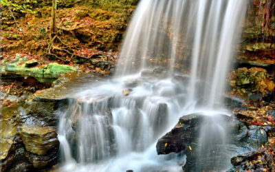 Tanyard Creek Falls