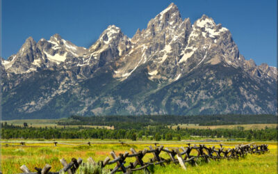 Teton Fence