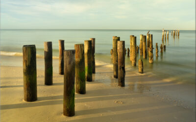 Morning at the Gulf
